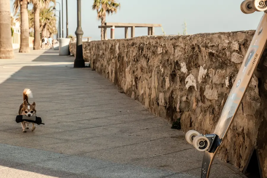 Patinador junto a la muralla del casco antiguo de Tarifa