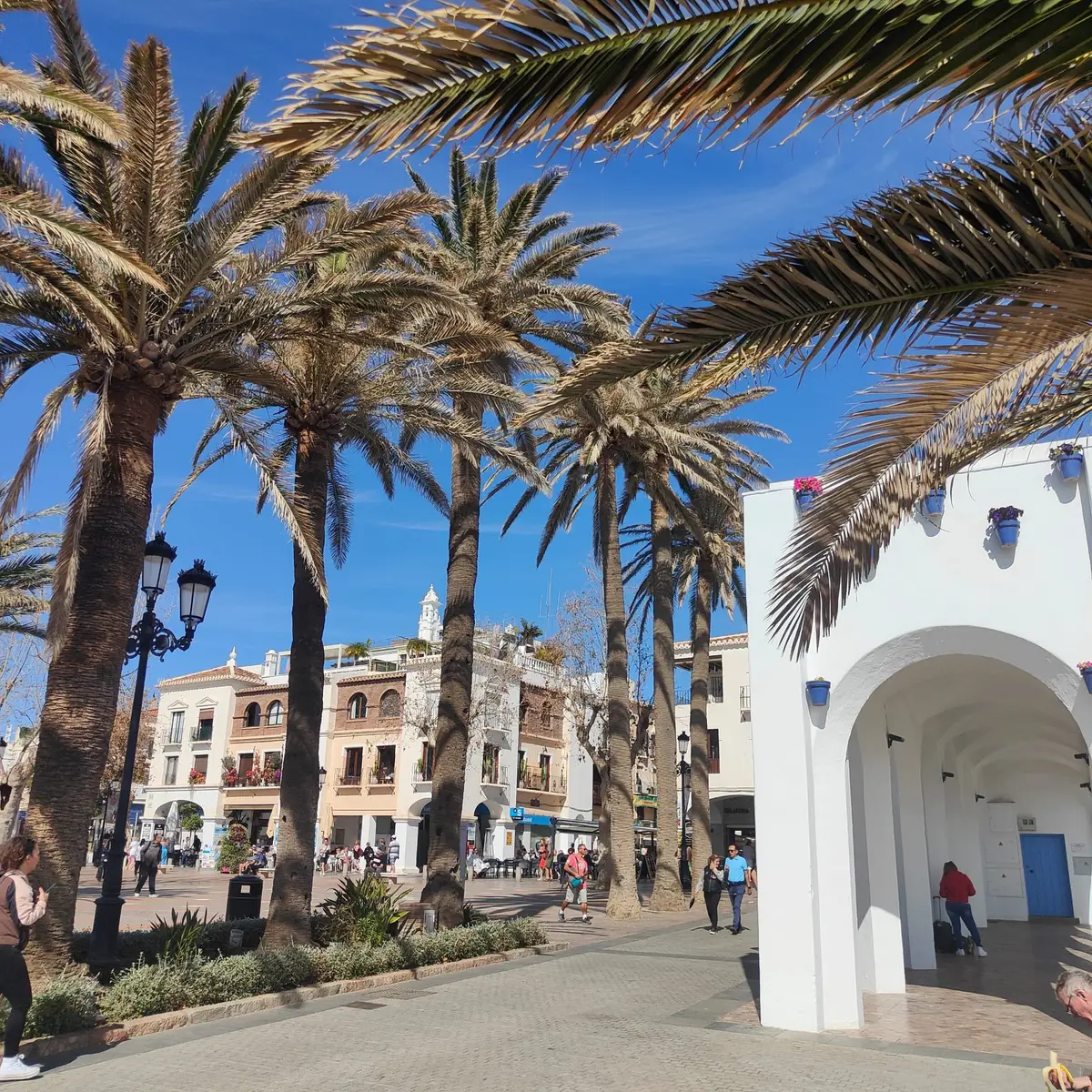 Palmeras y el edificio blanco de arcos en la plaza junto al Balcón de Europa