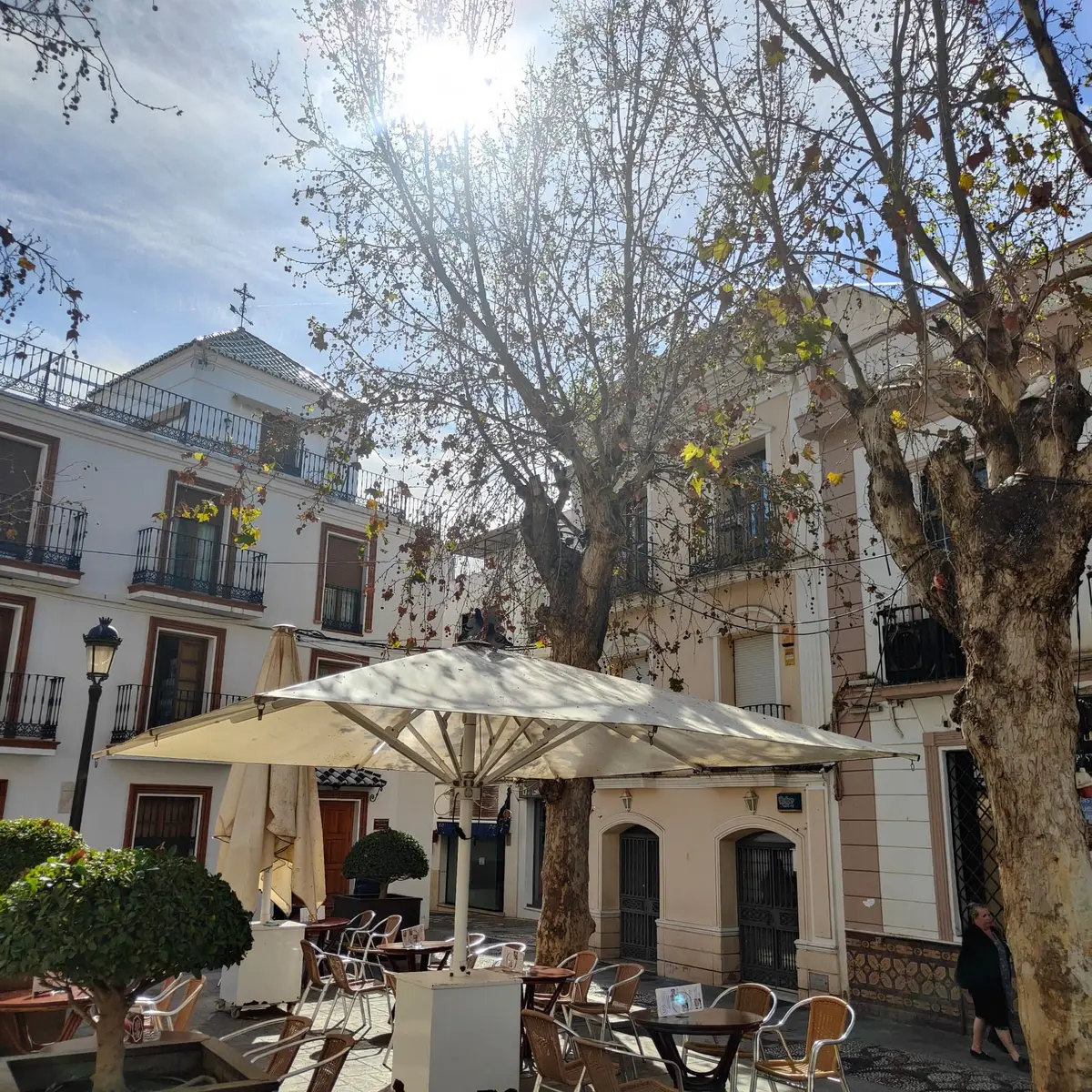 Mesas de café bajo un plátano en una plaza del centro de Nerja, sombrillas al sol de la mañana
