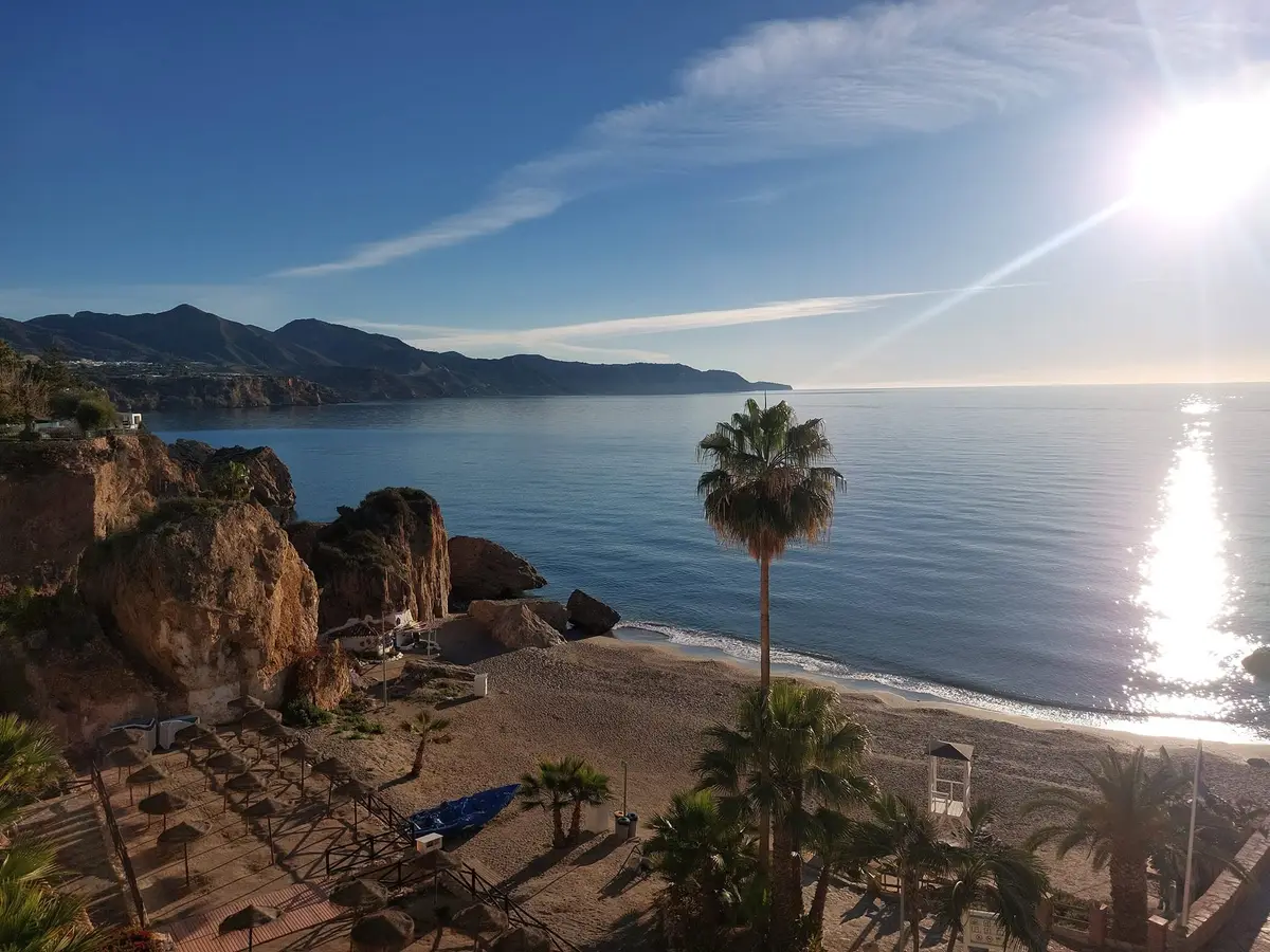 Una playa vacía con una sola palmera y el reflejo del sol en el mar en calma
